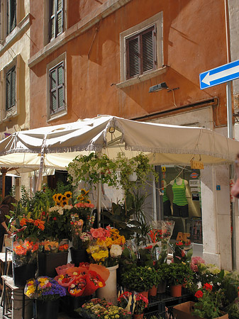 Blumen in der Altstadt Foto 