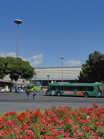 Foto Blumen am Bahnhof