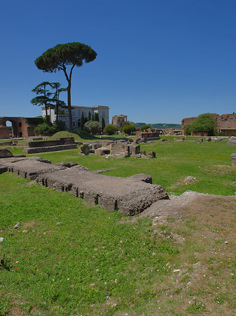 Foto Domus Augustana und das Museo Palatino