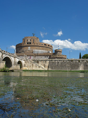 Tiber Foto 