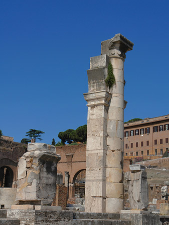 Fotos Säulen im Forum Romanum | Rom