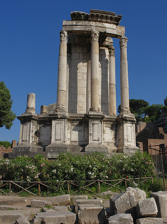 Foto Tempel der Vesta