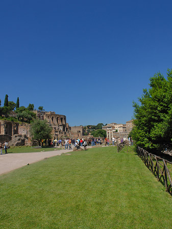 Foto Weg ins Forum Romanum - Rom