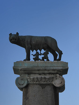 Fotos Romulus und Remus Säule