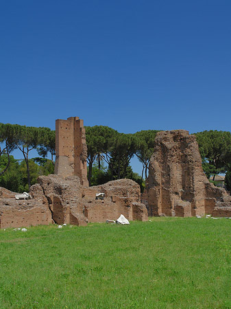 Foto Ruinen am Apollo Tempel - Rom