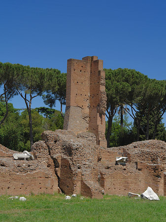 Fotos Ruinen am Apollo Tempel | Rom