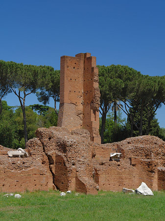 Foto Ruinen am Apollo Tempel - Rom