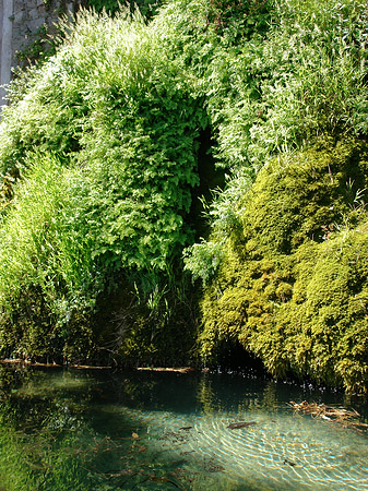 Foto Wasser am Palatin - Rom