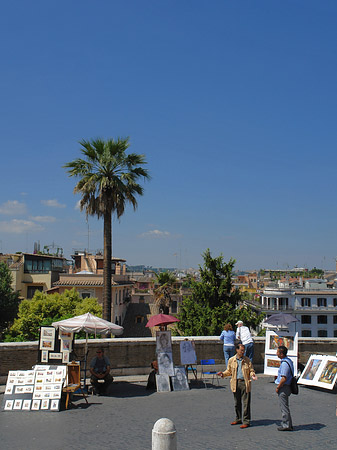 Palme an der Spanischen Treppe