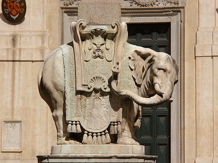 Foto Elefant von Bernini - Rom