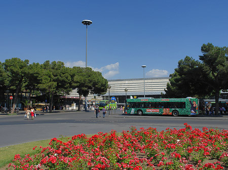 Fotos Blumen am Bahnhof