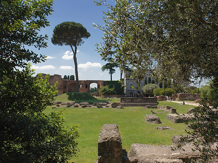 Domus Augustana und das Museo Palatino Fotos