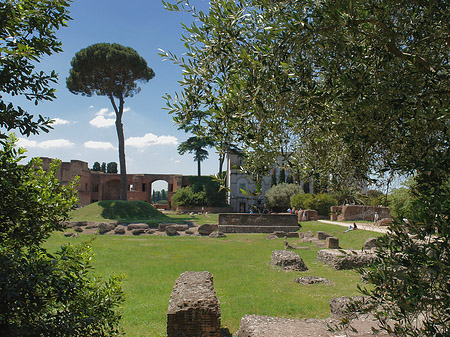 Foto Domus Augustana und das Museo Palatino