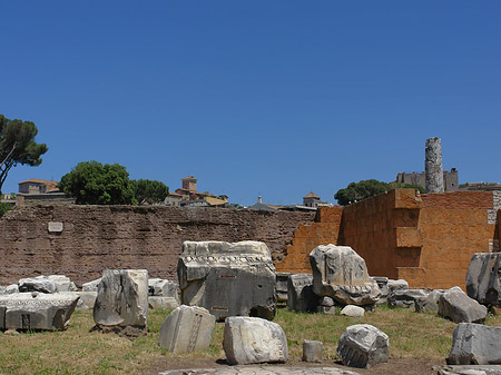 Basilica Aemilia Fotos