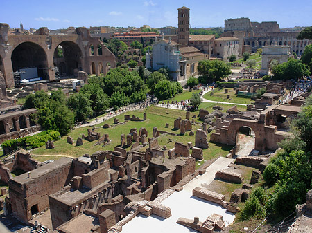 Foto Blick auf das Forum Romanum