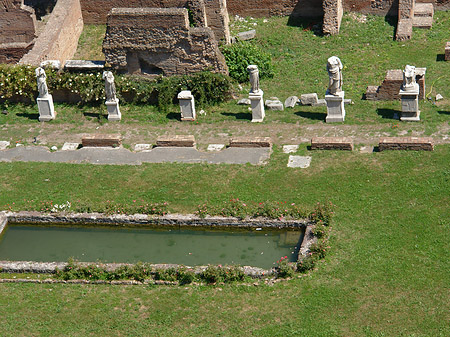 Foto Blick auf das Forum Romanum - Rom