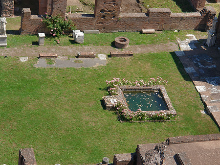 Blick auf das Forum Romanum Fotos