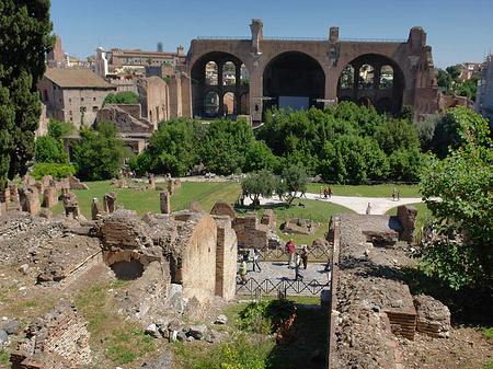 Blick auf das Forum Romanum