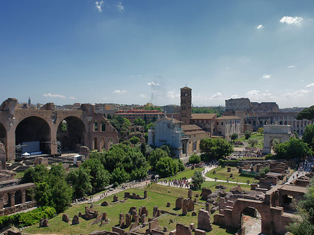 Blick auf das Forum Romanum Foto 