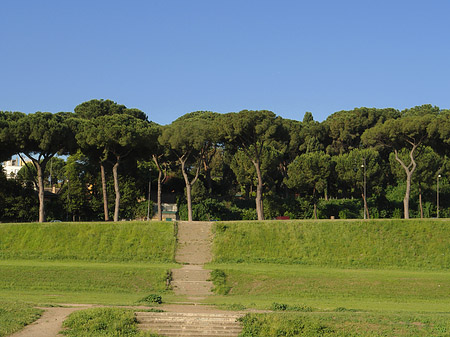 Fotos Circus Maximus | Rom