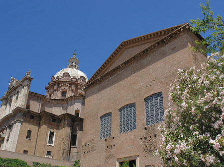 Curia Iulia Foto 