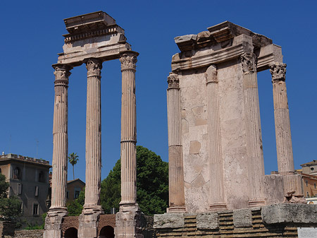 Fotos Dioskuren und Vesta Tempel