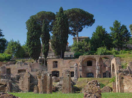 Fotos Forum Romanum | Rom