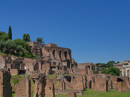 Forum Romanum Foto 