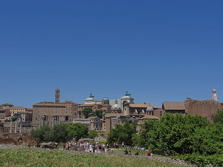 Forum Romanum Fotos