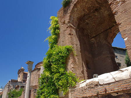 Foto Forum Romanum