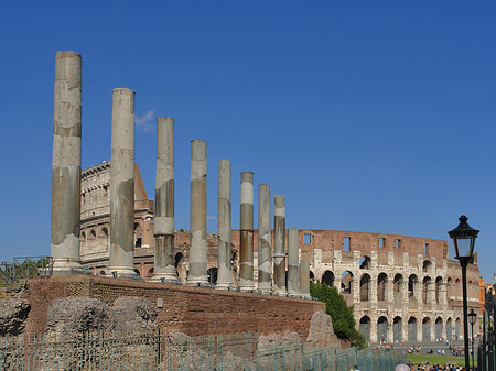 Kolosseum mit dem Forum Romanum Foto 