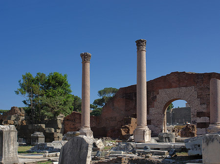 Fotos Säulen im Forum Romanum