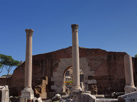 Foto Säulen im Forum Romanum - Rom