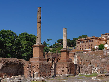 Foto Säulen im Forum Romanum