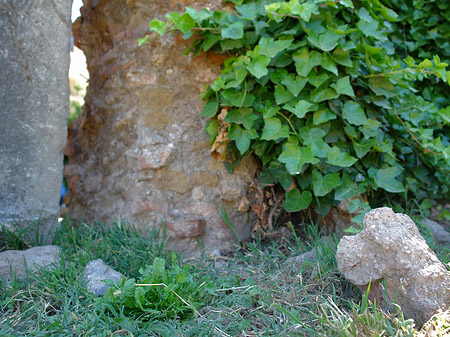 Steine im Forum Romanum Fotos