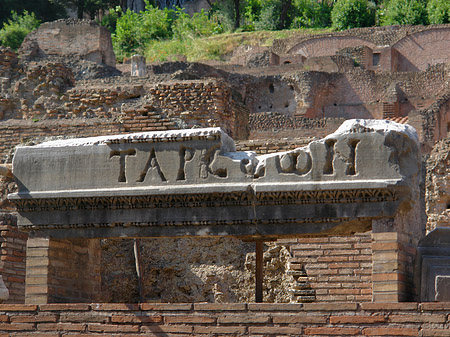 Fotos Steine im Forum Romanum