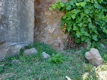 Foto Steine im Forum Romanum