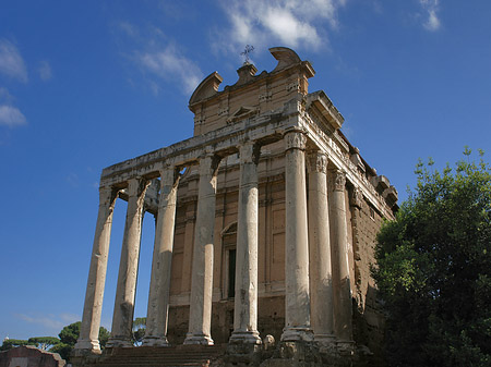 Tempel des Antoninus Pius und der Faustina Foto 