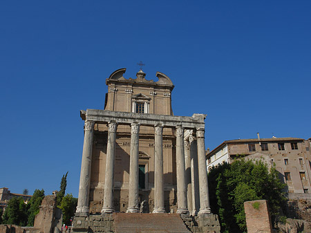 Fotos Tempel des Antoninus Pius und der Faustina | Rom