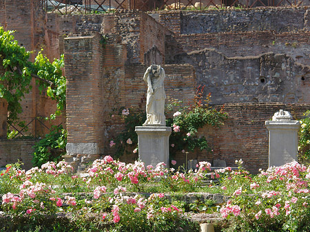 Foto Tempel der Vesta - Rom