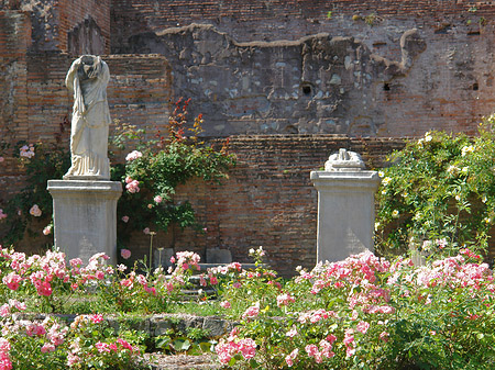 Tempel der Vesta Foto 