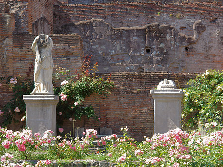 Foto Tempel der Vesta - Rom