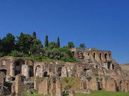 Foto Tempel der Vesta - Rom