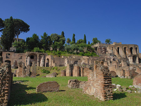 Fotos Tempel der Vesta