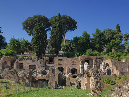 Foto Tempel der Vesta