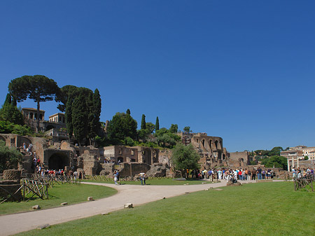 Weg ins Forum Romanum Fotos