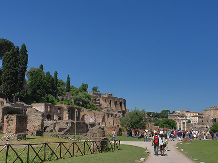 Fotos Weg ins Forum Romanum | Rom