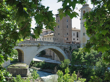 Fotos Ponte Fabricio zwischen Bäumen | Rom