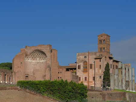 Tempel der Venus