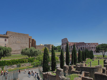 Kolosseum mit dem Forum Romanum Foto 